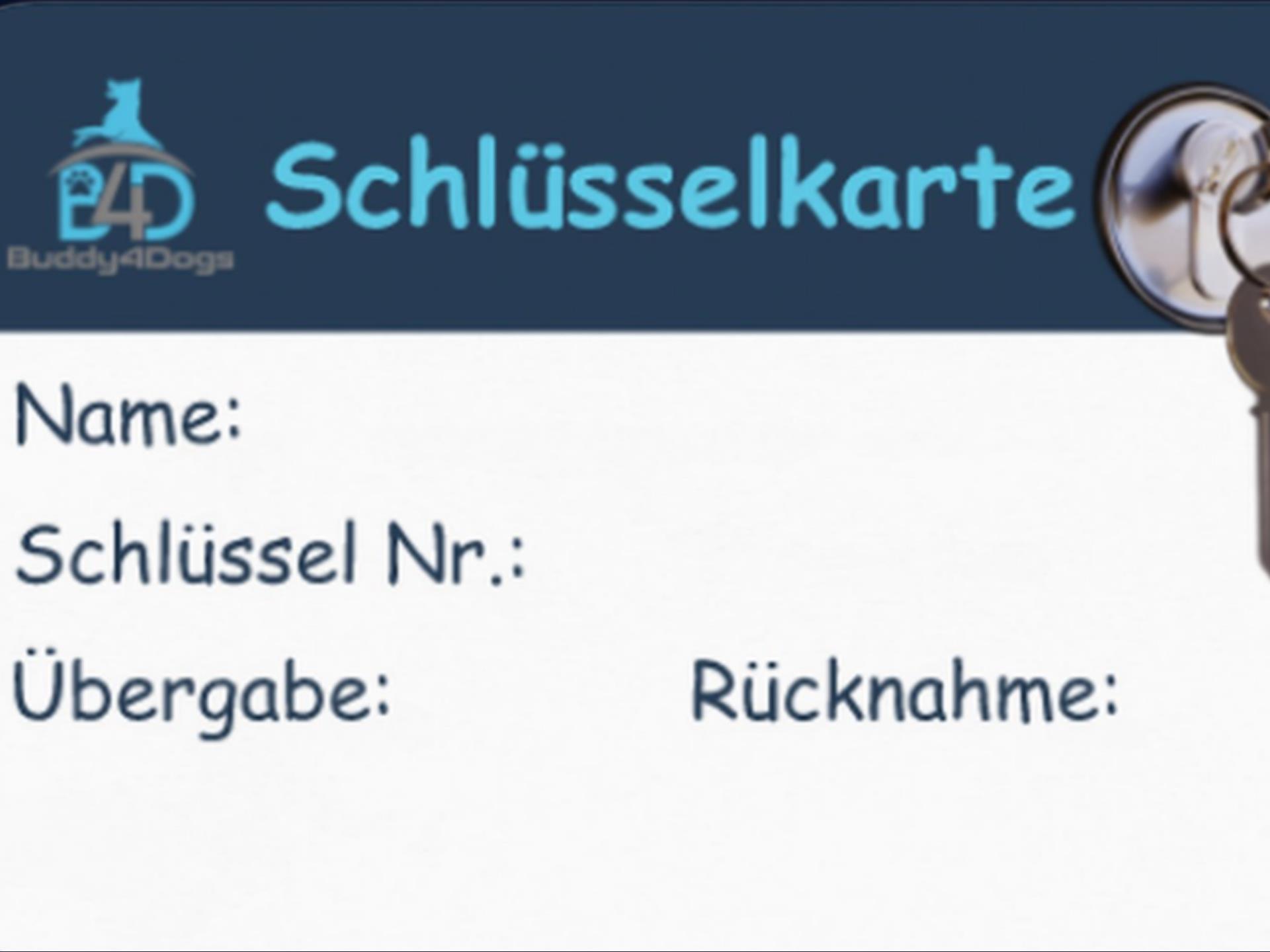 Rückenseite